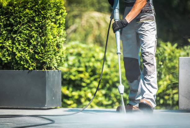 Best Patio and Deck Pressure Washing  in Webster Groves, MO