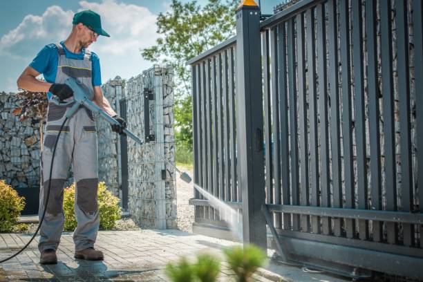 Best Gutter Cleaning  in Webster Groves, MO