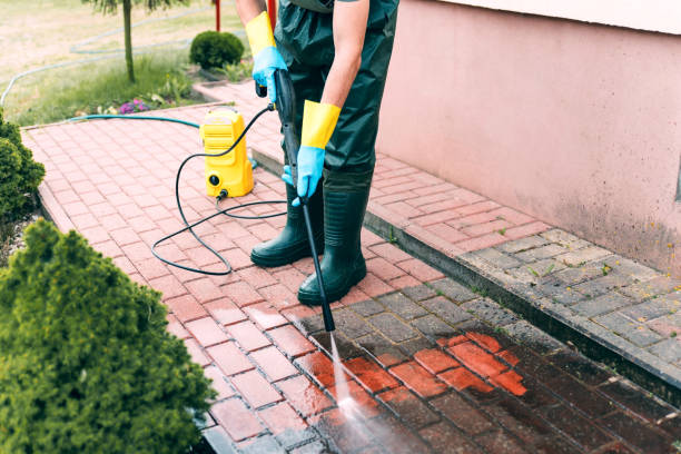 Best Residential House Exterior Washing  in Webster Groves, MO