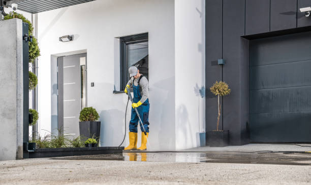 Best Fleet Vehicle Washing  in Webster Groves, MO